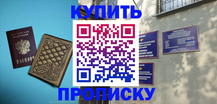 прописка 2025 в Кингисеппе